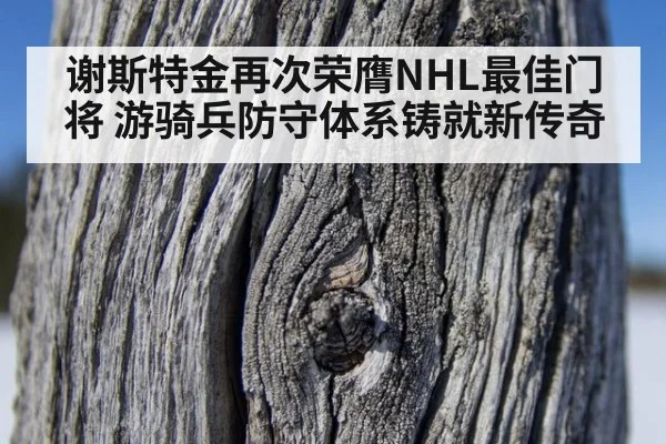 谢斯特金再次荣膺NHL最佳门将 游骑兵防守体系铸就新传奇